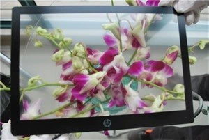 Anti Glare(AG) Etched Glass